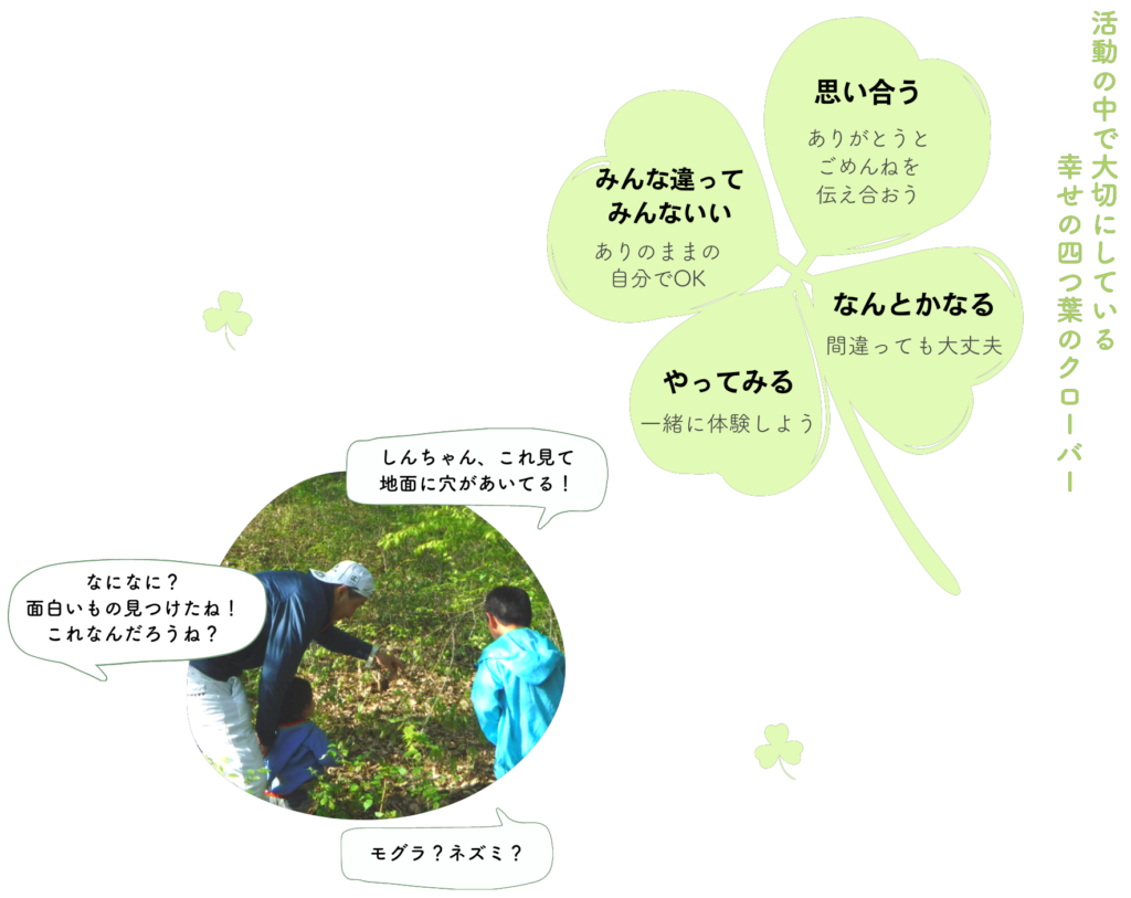 大切にしている四つ葉のクローバー